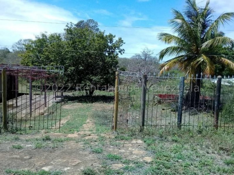 Terreno en Venta en  Tocópero, Falcón