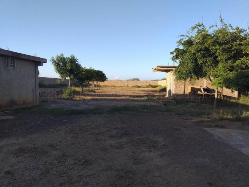 Foto Terreno en Venta en Coro, Falcón - U$D 30.000 - TEV228047 - BienesOnLine