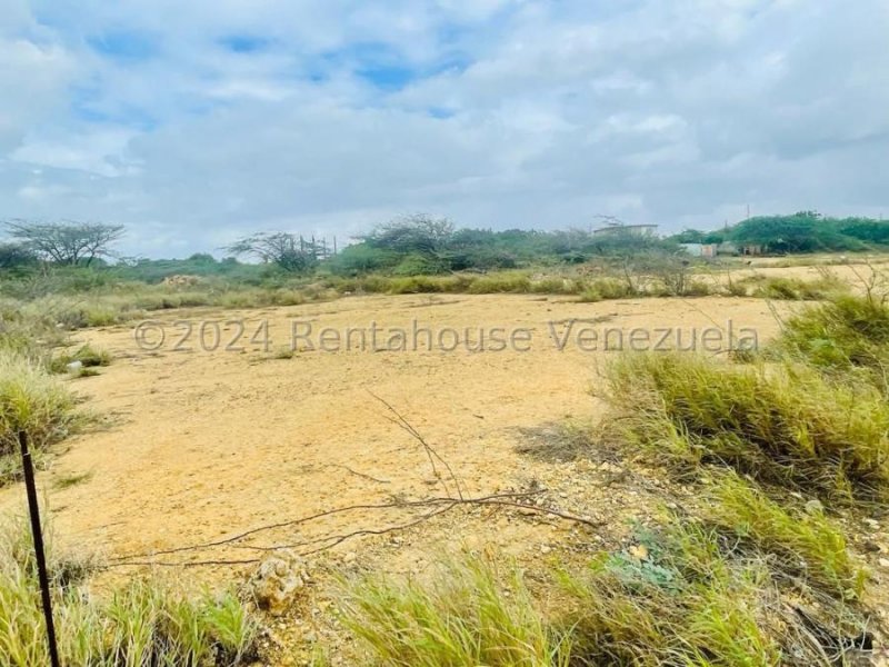 Terreno en Venta en  Punto Fijo, Falcón