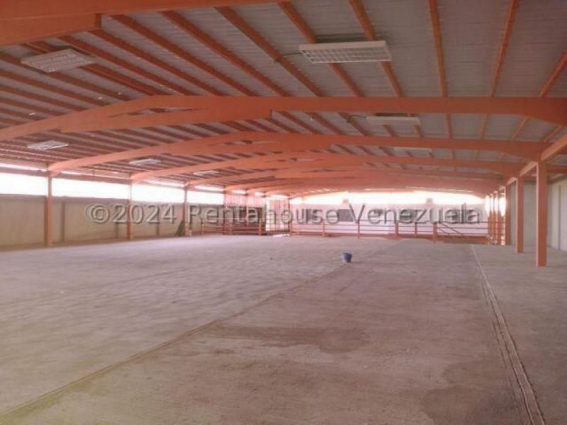 Foto Galpon en Venta en Punto Fijo, Falcón - U$D 300.000 - GAV226030 - BienesOnLine