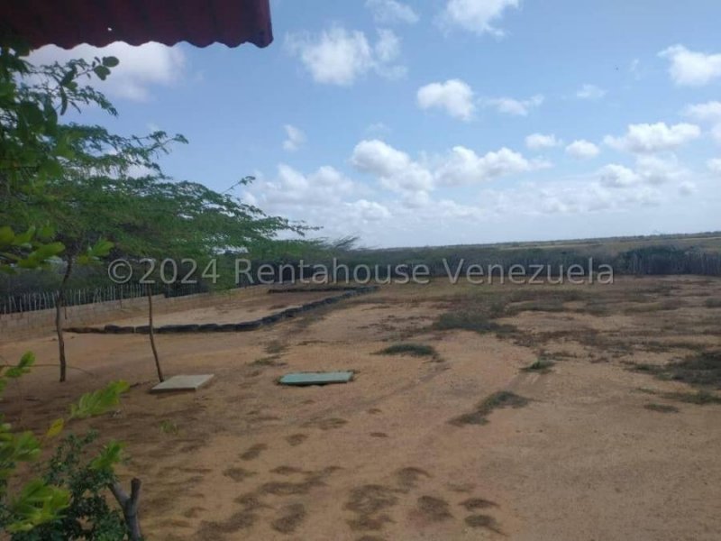 Terreno en Venta en  Punto Fijo, Falcón