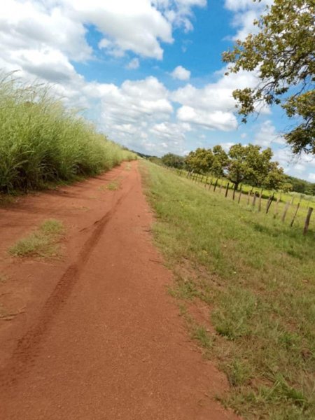 Finca en Venta en @phagrovzla Ciudad de Cojedes, Cojedes