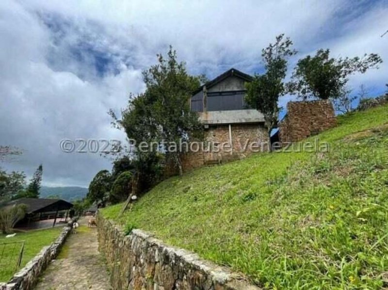 Rah código 24-10260: Club Campestre en Venta en Curimagua Sierra de Falcon