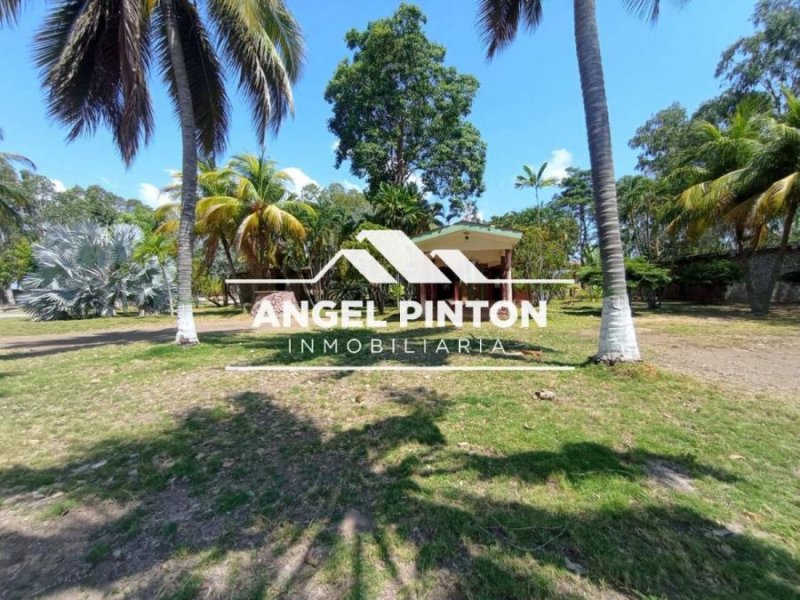 Finca en Venta en Sur Maracaibo, Zulia