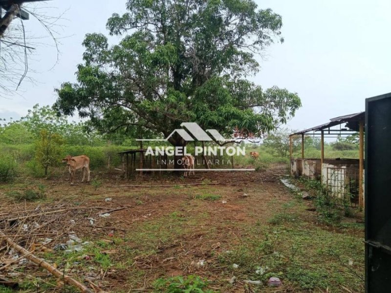 Finca en Venta en  Maracaibo, Zulia