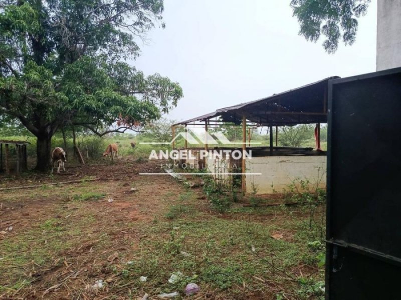 Finca en Venta en Autodromo Maracaibo, Zulia