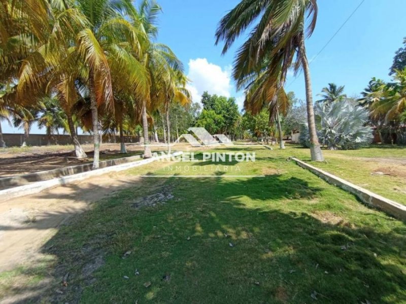 GRANJA VENTA VIA LA CAÑADA DE URDANETA API 68691 JANETTE PEREZ