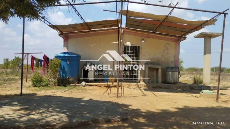 Finca en Venta en  San Francisco, Zulia