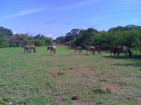 Finca en Venta en SAN DIEGO DE CABRUTICA José Gregorio Monagas, Anzoátegui