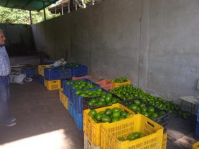 Finca en Venta en  San Felipe, Yaracuy