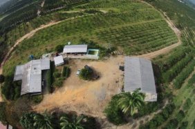 Finca en Venta en  Nirgua, Yaracuy