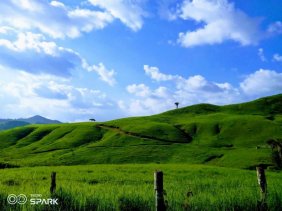 Finca en Venta en  Nirgua, Yaracuy