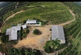 Finca en Venta en Temerla Nirgua, Yaracuy