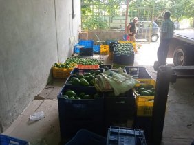 Finca en Venta en  San Felipe, Yaracuy