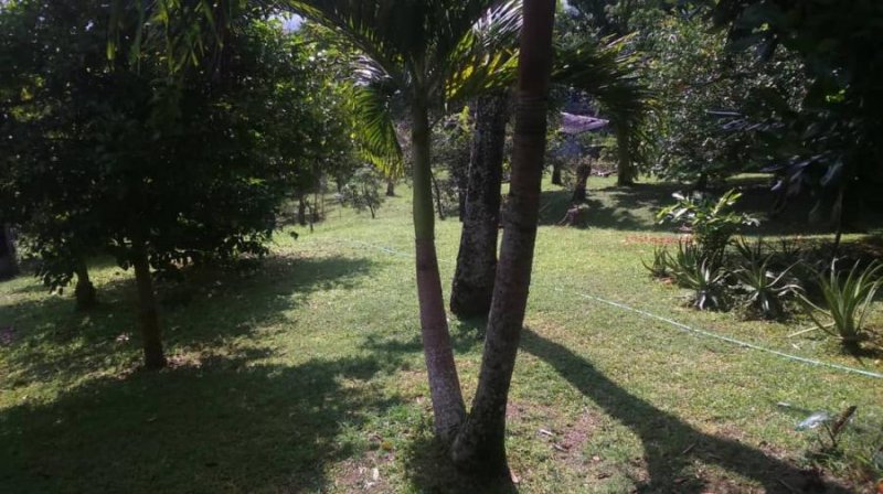 Hacienda en Venta en Parroquia Urdaneta Cúa, Miranda