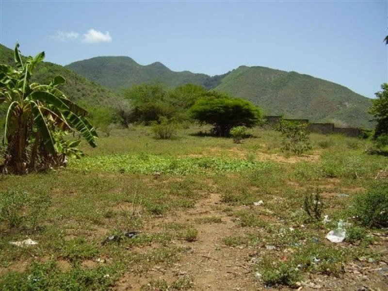 Foto Terreno en Venta en Arismendi, Sabana de Guacuco, Nueva Esparta - BsF 100.000 - TEV117681 - BienesOnLine