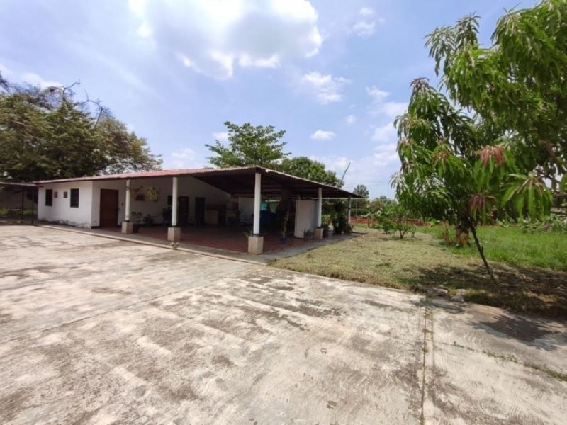 Terreno en Venta en  Tocuyito, Carabobo