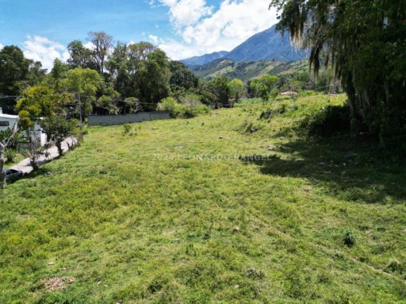 Terreno en Venta en Mucuy Mérida, Mérida