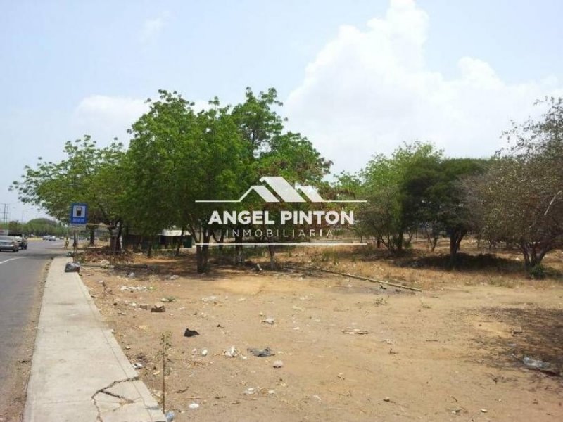 Foto Terreno en Venta en Sur, Maracaibo, Zulia - U$D 90.000 - TEV239131 - BienesOnLine