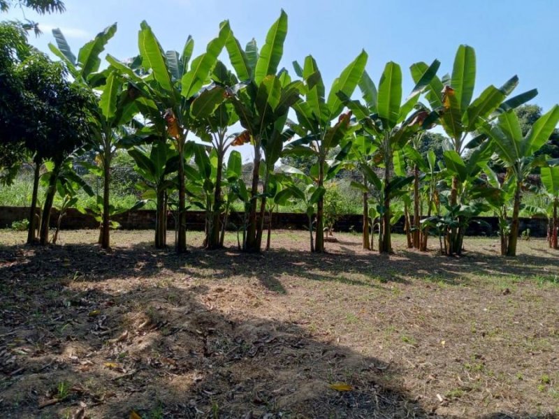 Terreno en Venta en  Tocuyito, Carabobo