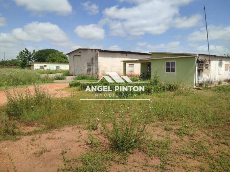 TERRENO CON GALPÓN Y DOS CASAS VENTA EL MOLINO LA CONCEPCIÓN API 6294