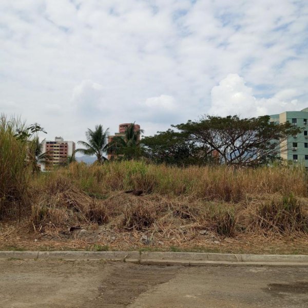 Terreno Residencial en Venta en La Urbanización Jardín Mañongo