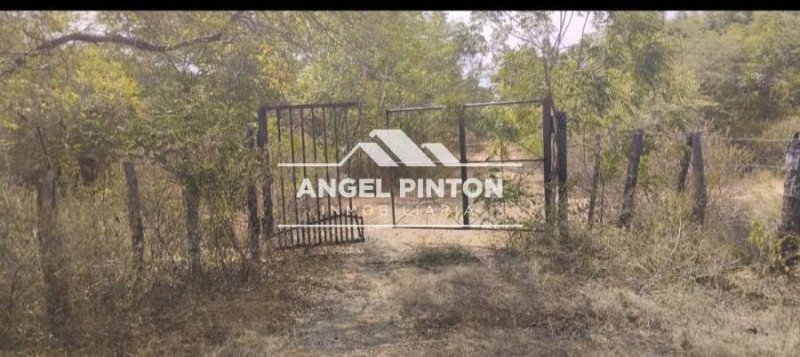 TERRENO EN VENTA EN LA ESTRELLA LA CAÑADA DE URDANETA API 7073 JANETTE PEREZ