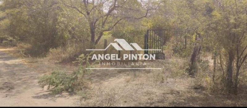Terreno en Venta en  San Francisco, Zulia