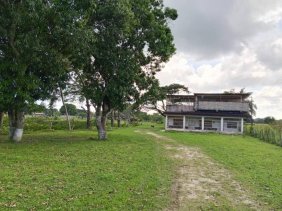 Terreno en Venta en Miguel Peña Valencia, Carabobo