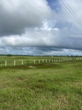 Terreno en Venta en  Chichiriviche, Falcón