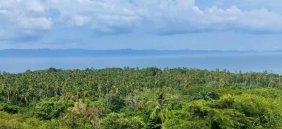 Terreno en Venta en BOLÍVAR Marigüitar, Sucre