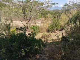 Terreno en Venta en VIGIRIMA Guacara, Carabobo