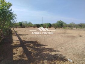 Terreno en Venta en  San Francisco, Zulia