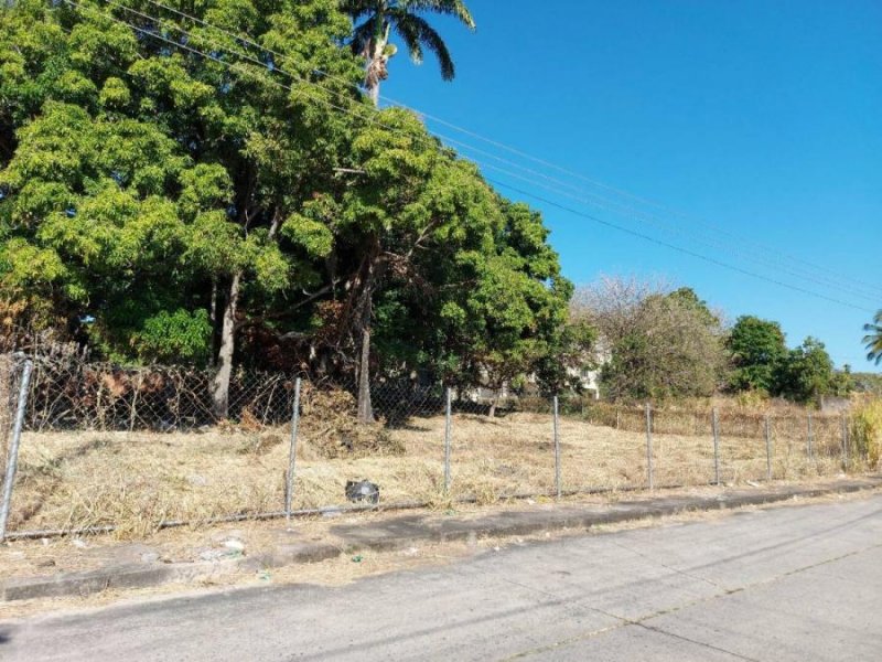 Foto Terreno en Venta en Valencia, Valencia, Carabobo - U$D 350.000 - TEV146637 - BienesOnLine