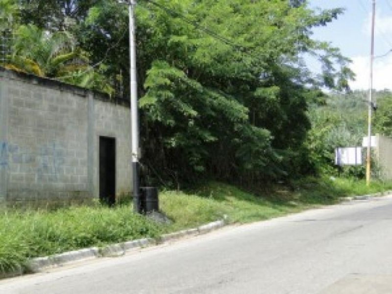 Foto Terreno en Venta en Valencia, Carabobo - BsF 330.000 - TEV16812 - BienesOnLine