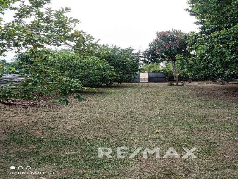 Foto Terreno en Venta en San Diego, Las Morochas, Carabobo - U$D 23.000 - TEV195735 - BienesOnLine