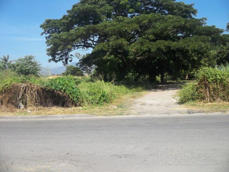 Foto Terreno en Venta en Guacara, Carabobo - BsF 6.000.000 - TEV44204 - BienesOnLine