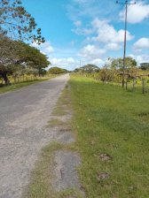 Finca en Venta en La Estacada Bruzual, Apure