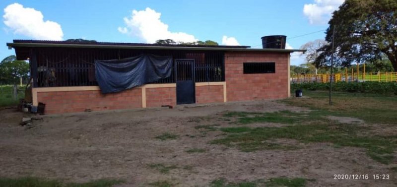 A LA VENTA EXCELENTE FINCA AGROPECUARIA EN EL MUNICIPIO SOSA DEL ESTADO BARINAS