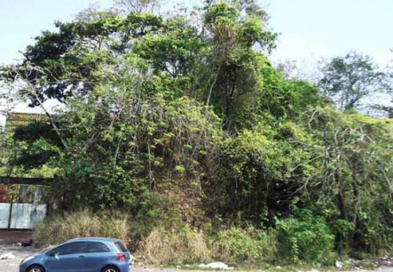 Foto Terreno en Venta en Guataparo, Valencia, Carabobo - BsF 13.500.000 - TEV45060 - BienesOnLine