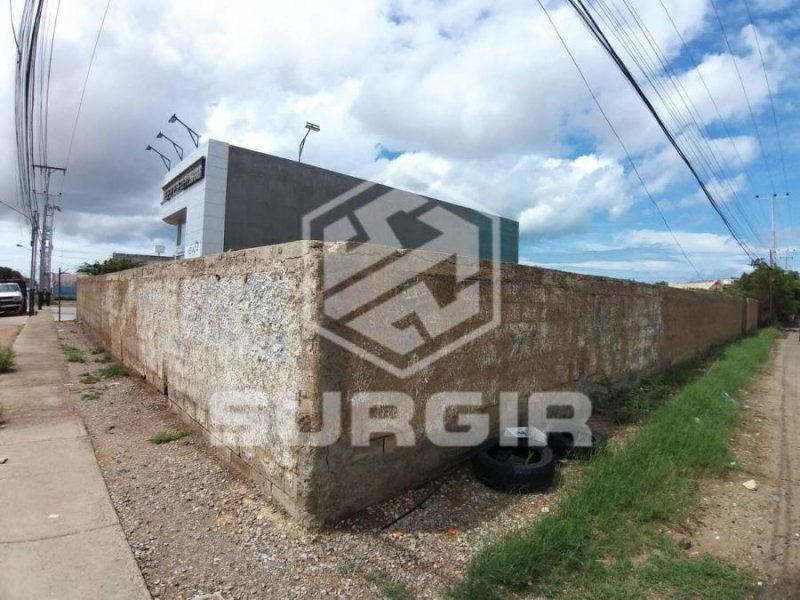 Foto Terreno en Alquiler en Punto Fijo, Falcón - U$D 400 - TEA216918 - BienesOnLine