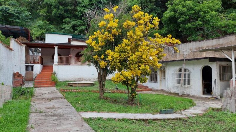 Casa en Venta en El Limón El Limón, Aragua