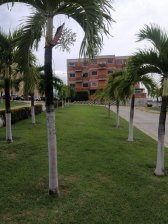 Apartamento en Venta en guatire ZAMORA, Miranda