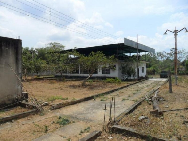 Foto Terreno en Venta en Tocuyito, Carabobo - BsF 1.300.000 - TEV46504 - BienesOnLine