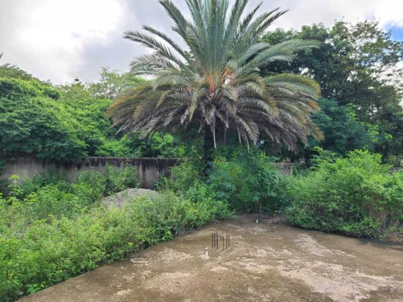 Terreno en Venta en  La Asunción, Nueva Esparta