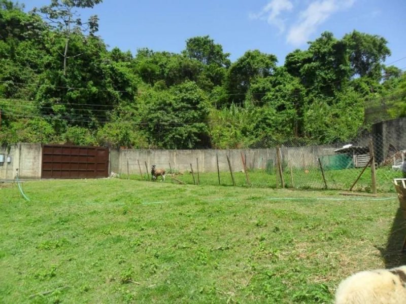 Foto Terreno en Venta en El Hatillo, La Unión, Distrito Federal - U$D 80.000 - TEV165592 - BienesOnLine