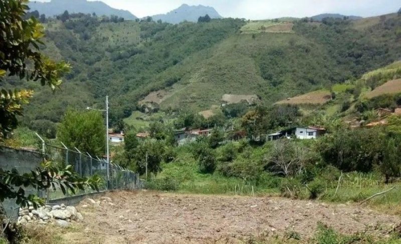 Terreno en Venta en Sector Hacienda y Vega Tabay, Mérida