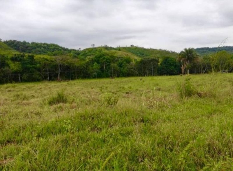 Foto Finca en Venta en Santa Bárbara, Barinas - U$D 45.000 - FIV128449 - BienesOnLine