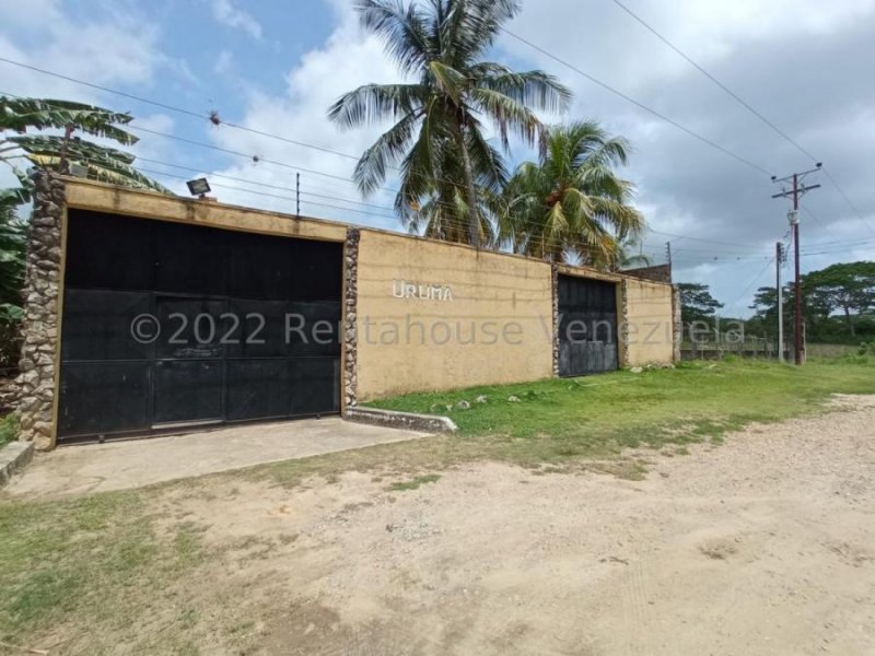 Casa (1 Nivel) en Venta en Sanare, Falcon MLS #25-10625 GR 