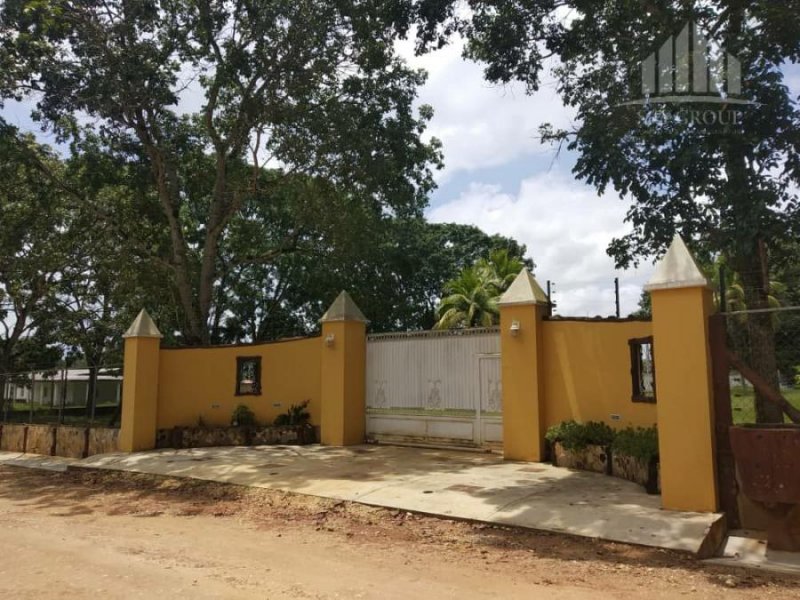 Foto Finca en Venta en sabana del medio, Carabobo - U$D 105.000 - FIV161905 - BienesOnLine